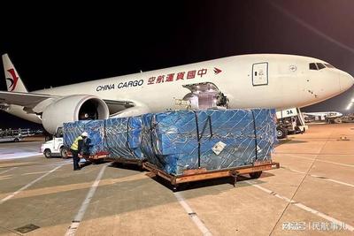 東航物流助全球"雙11"消費者海淘中國