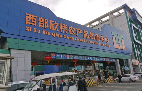 春節(jié)前走進(jìn)西部欣橋農(nóng)產(chǎn)品物流中心,為你探菜價肉價