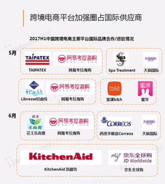 2017上半年中國跨境電商市場研究報告 便宜的海淘物流成為發展關鍵